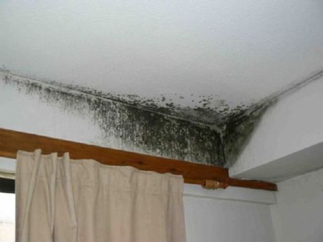 Mold