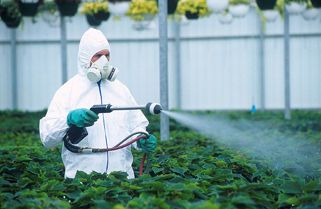 Nanopesticides: μια νέα λύση ή μια νέα απειλή; 