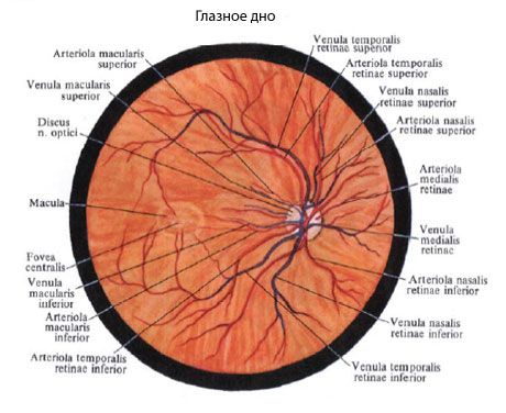 Οφθαλμικό κάτω μέρος