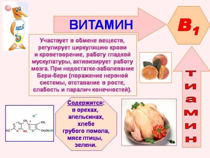 Οι ιδιότητες της βιταμίνης Β1