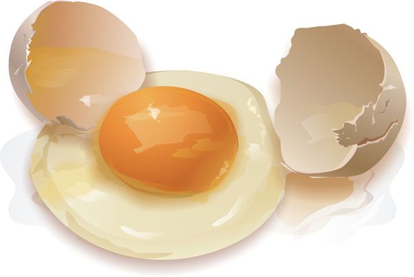 τη δράση της δίαιτας των αυγών